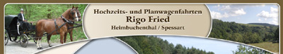 Partner Planwagen Fried